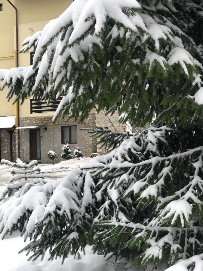 Apartament Nicolle Apartment Poiana Brasov Luaran gambar